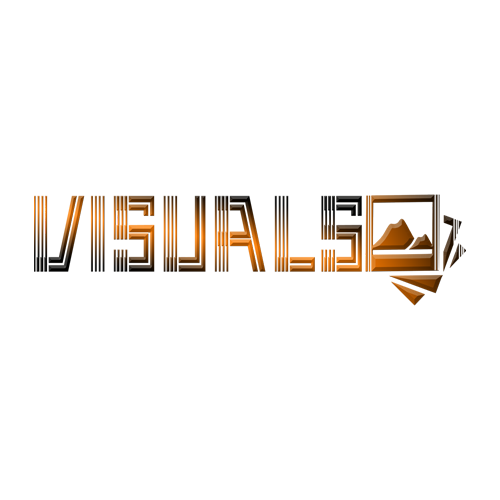 VISUALS LOGO